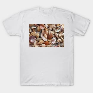 Seashells T-Shirt